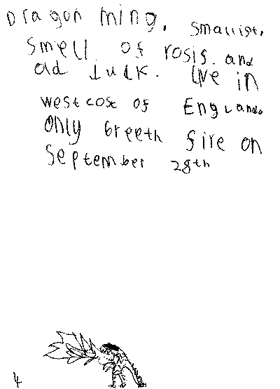 Dragon Ming (smallest): <BR>
Smells of roses and old socks. <BR>
Lives on the West Coast of England. <BR>
Only breathes fire on September 28th.